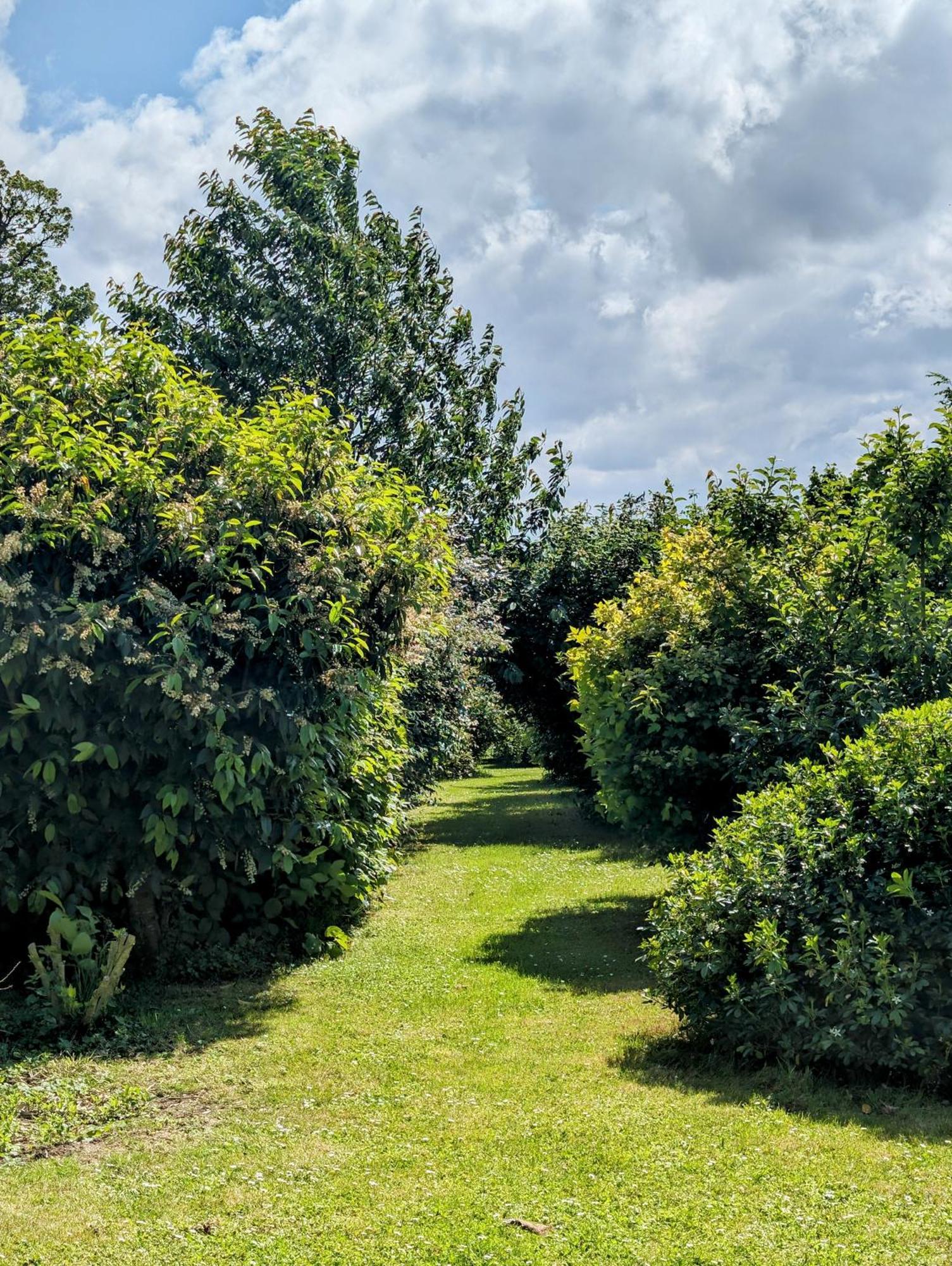 罗莱住宿加早餐旅馆 圣里基耶 外观 照片