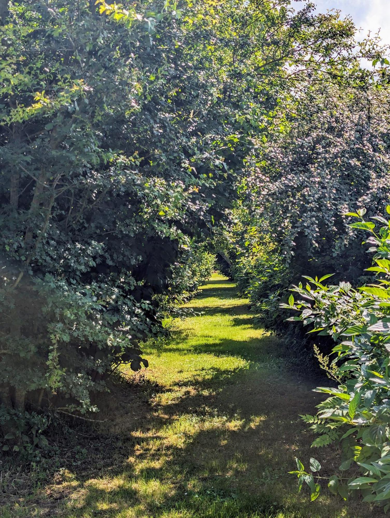 罗莱住宿加早餐旅馆 圣里基耶 外观 照片